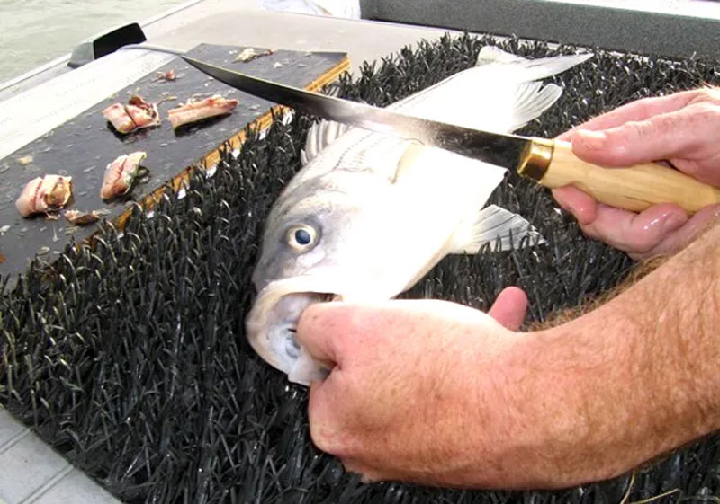 Tips for using our Fish Cleaning Station